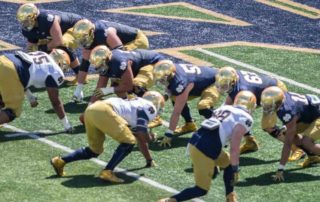 Reviewing the Blue Gold Game Visitors